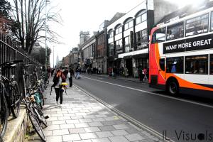 1491324_240967429421707_4322300367761101943_o